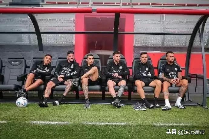 潘帕斯雄鹰阿根廷提前晋级世界杯,潘帕斯雄鹰阿根廷出征世界杯