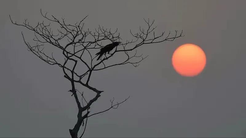 厮守一生的唯美诗句图片,相爱的诗句经典语录图片