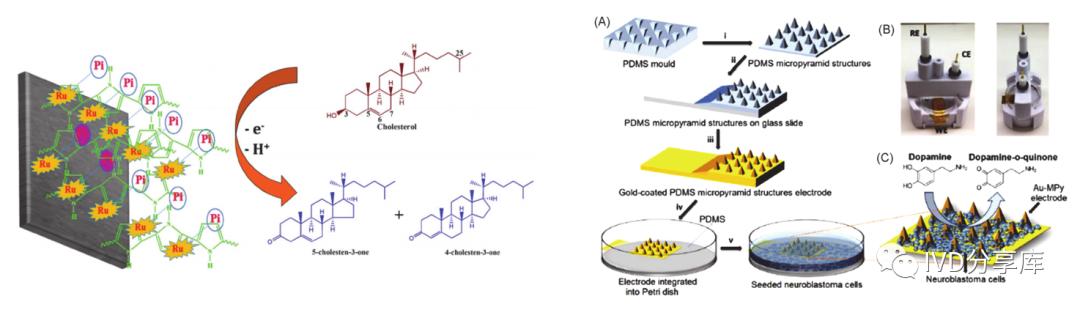 电化学传感器检测方法,电化学检测领域