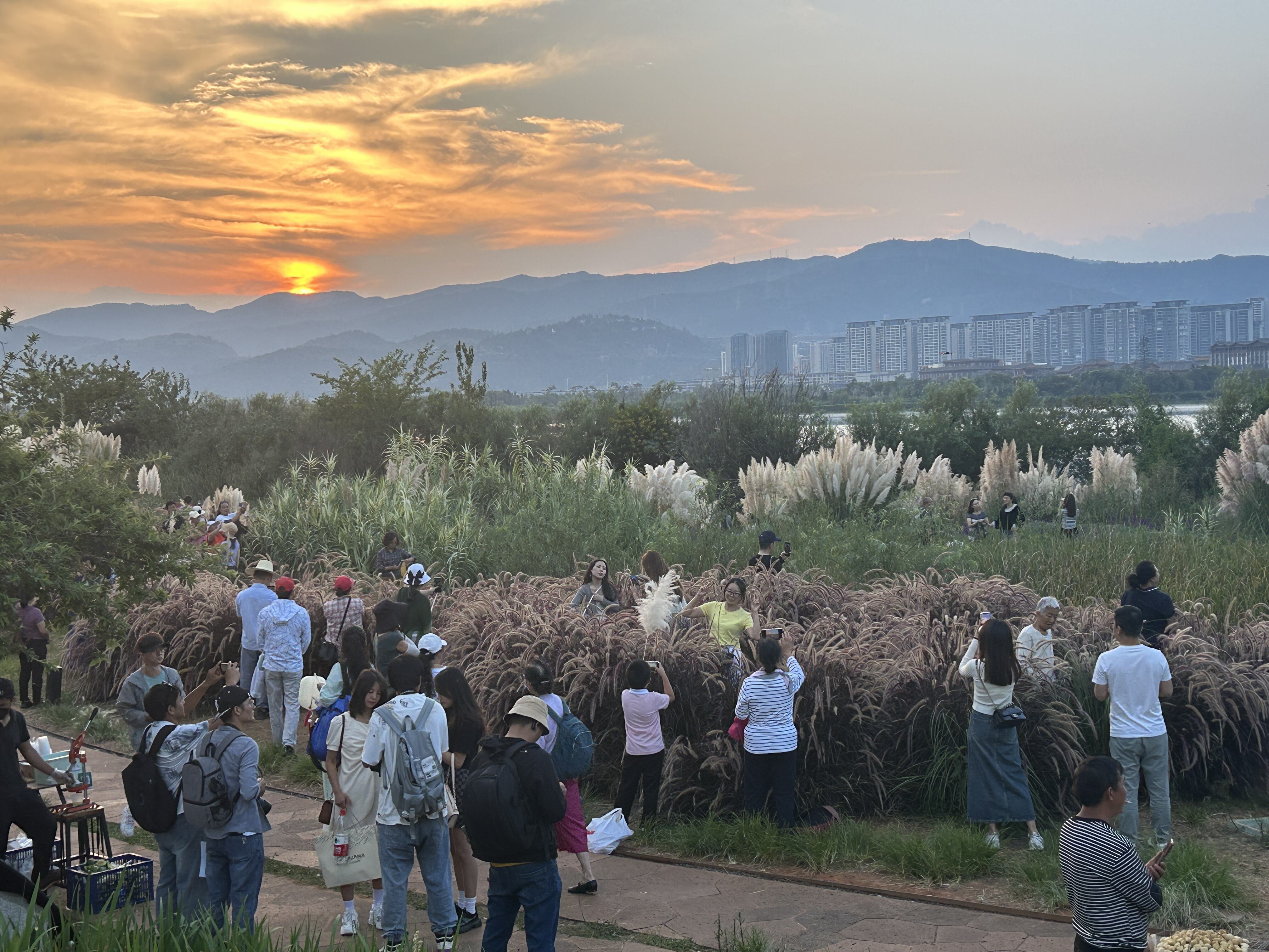 曝光台践踏草坪,不文明曝光台踩踏草坪