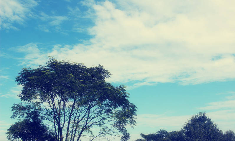 就业前景比较好的大专专业,这十个专业是最吃香的