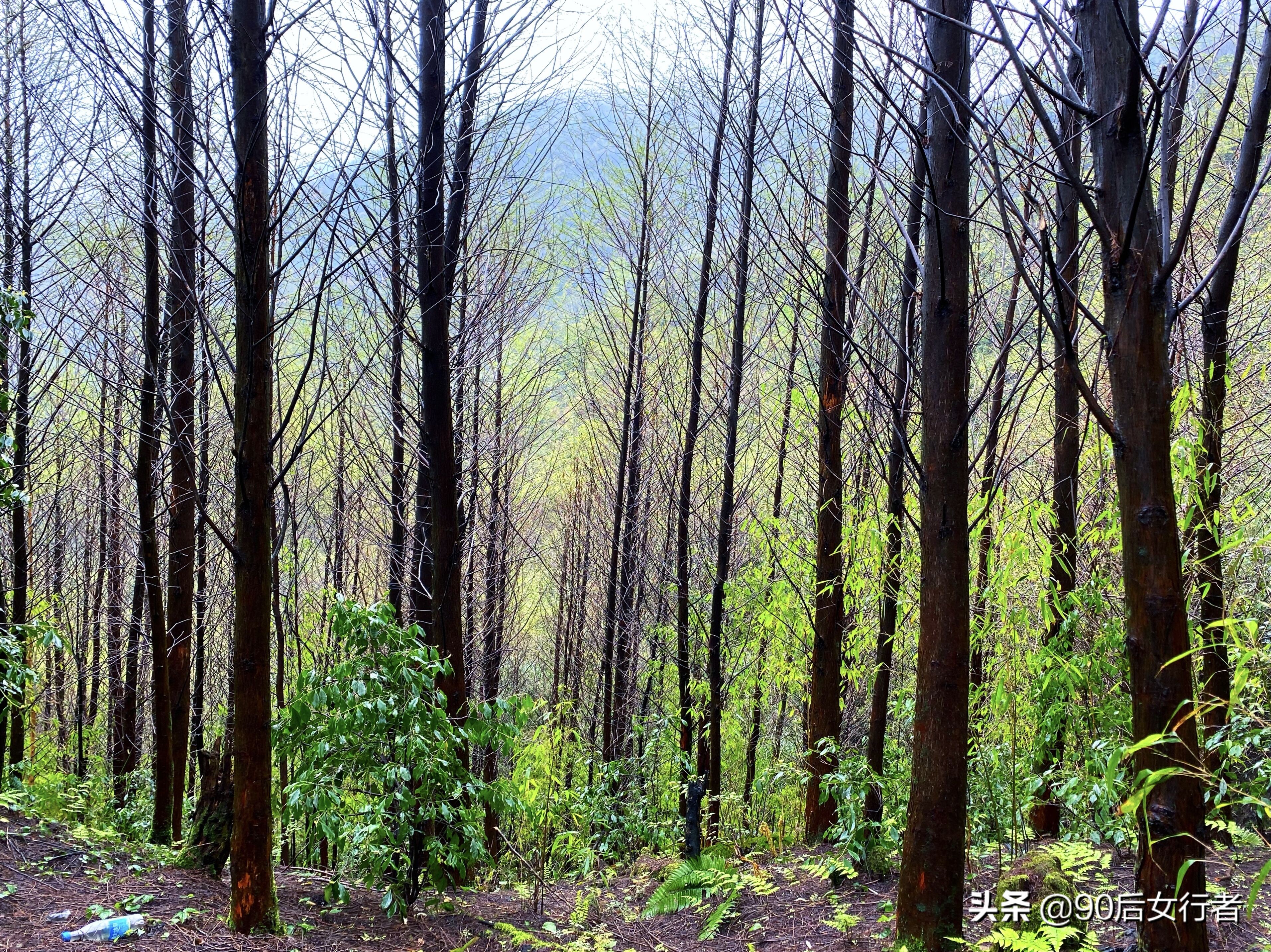 雨天徒步十里长山凹,走进大自然翻山越岭户外徒步