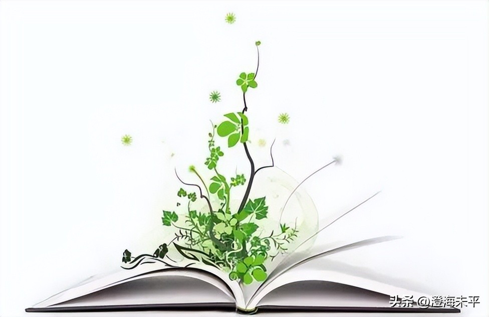 气泡鱼能吃吗,气泡鱼视频