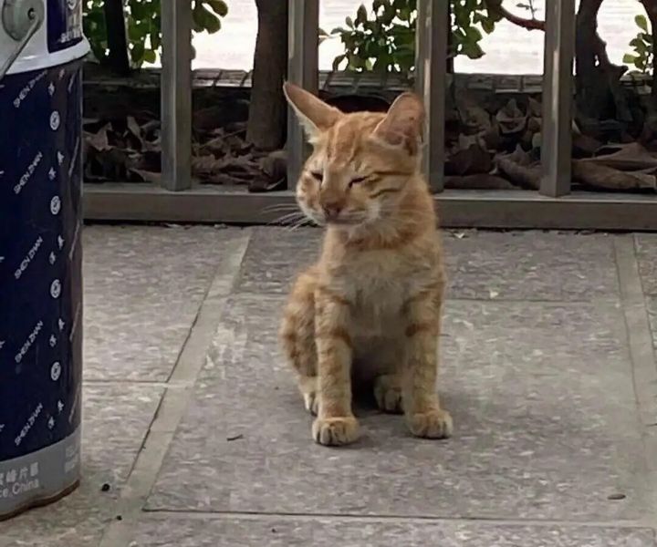 小学生笑话段子爆笑大全,每日精选笑话段子来一波让人爆笑