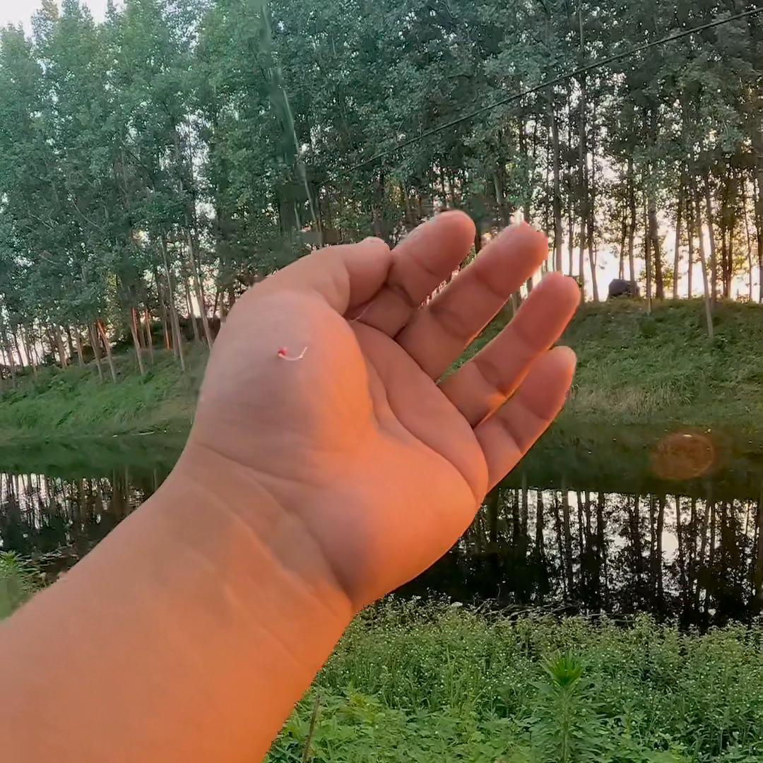 野钓第一次碰到这样的鱼,遇到这种鱼该怎么钓