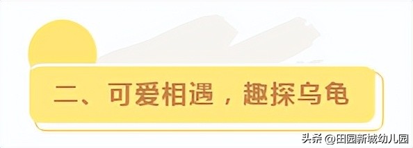 课程故事乌龟大班,嗨小鸭课程故事