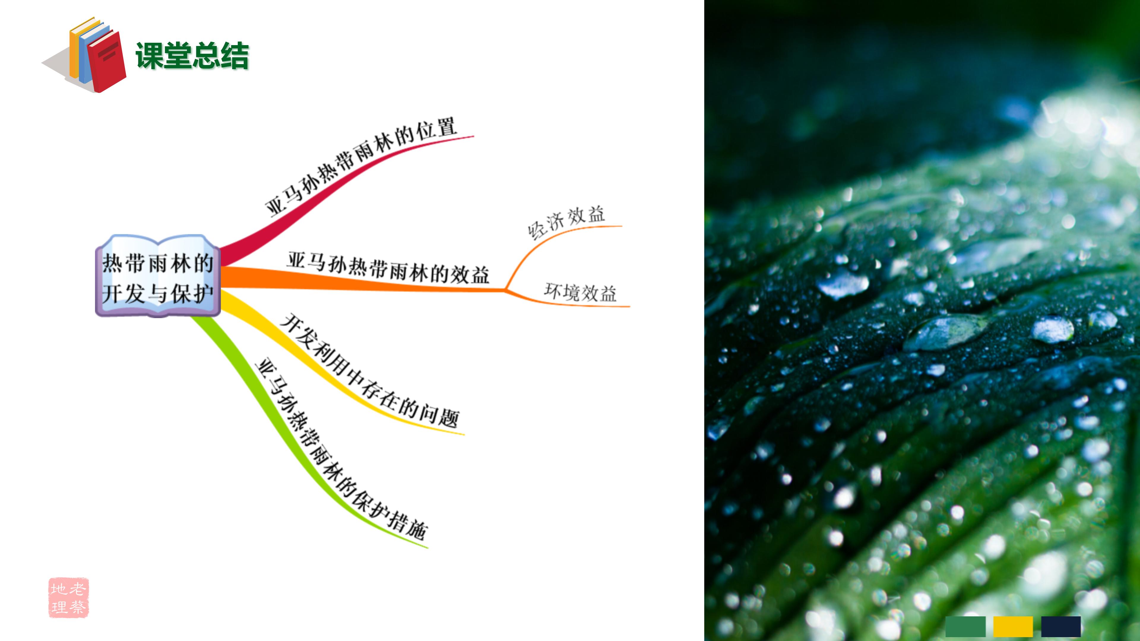 七年级下册地理第九章第二节巴西,七年级下册地理巴西2