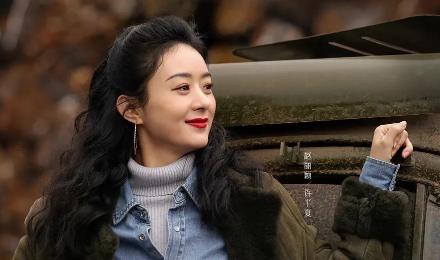 风吹半夏全员对赵丽颖的评价,风吹半夏对赵丽颖未来发展的影响