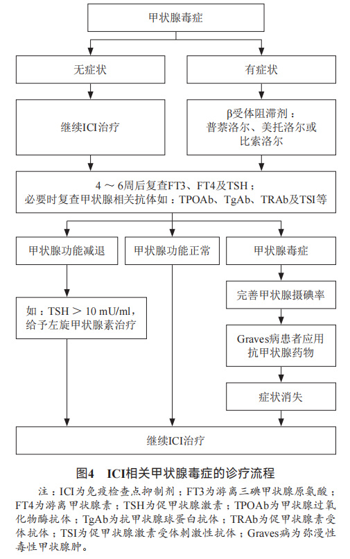 消化系统恶性肿瘤合理用药指南,胃肠道肿瘤免疫治疗前景