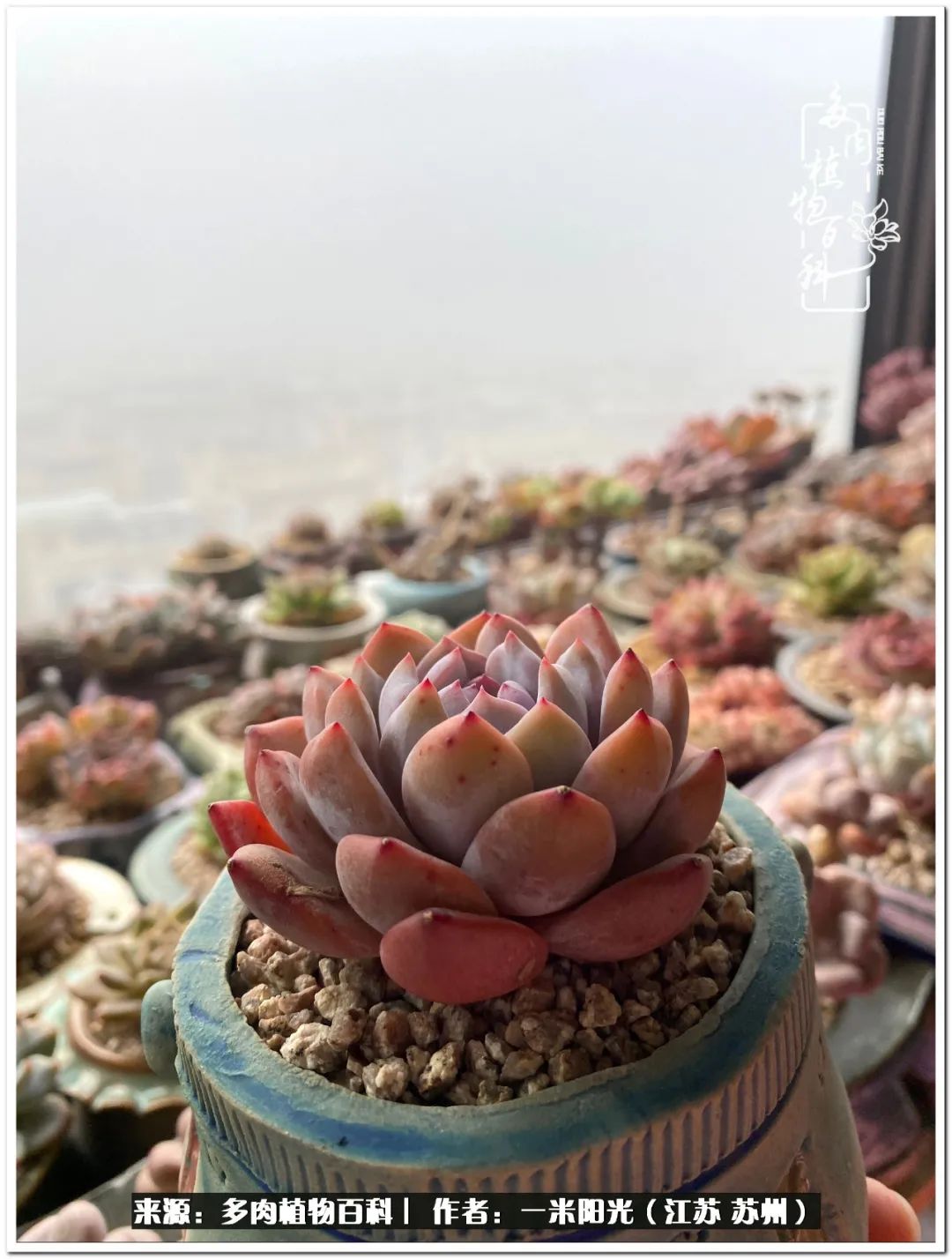 幸福就是珍惜当下所拥有的,珍惜当下所拥有的才是幸福的