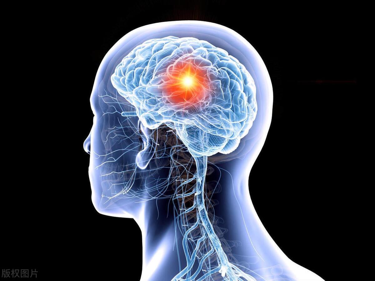 头脑迷糊摸不清方向,脑子老迷糊不认方向