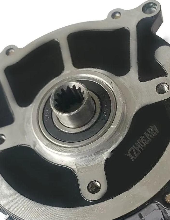 赛鸽全封闭电动三轮车,赛鸽带棚三轮车