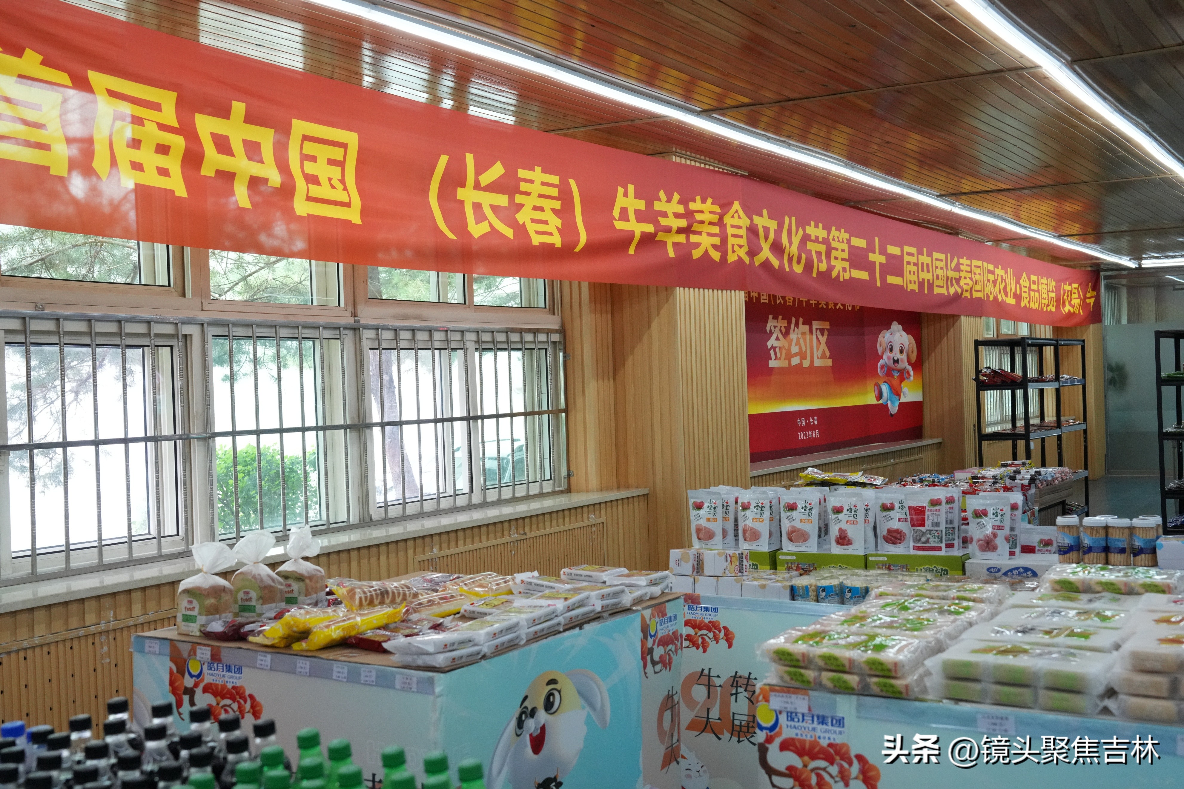 皓月集团宣传片,皓月集团规划