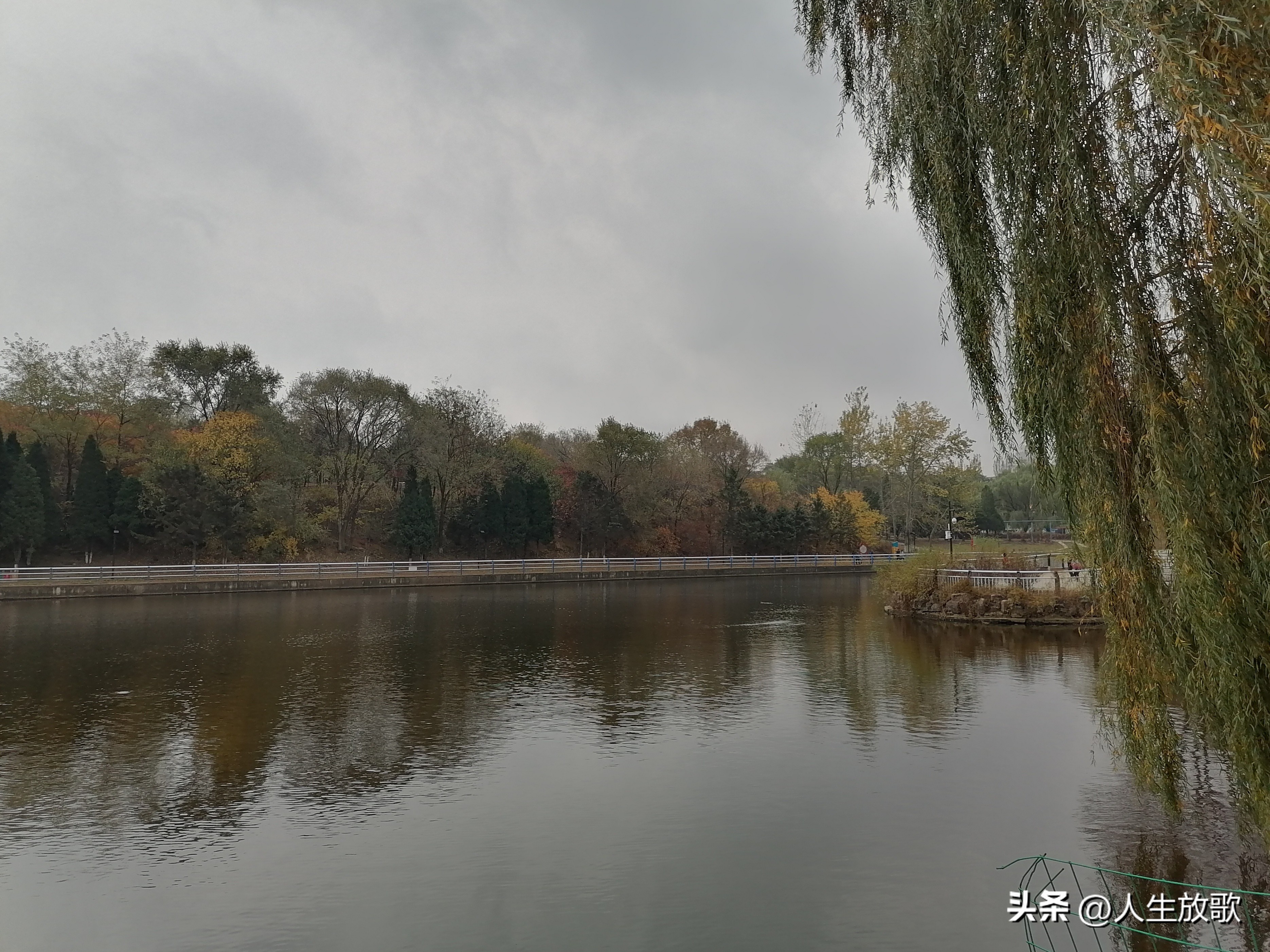 秋天里的思念原唱歌词,秋天里的思念女声版