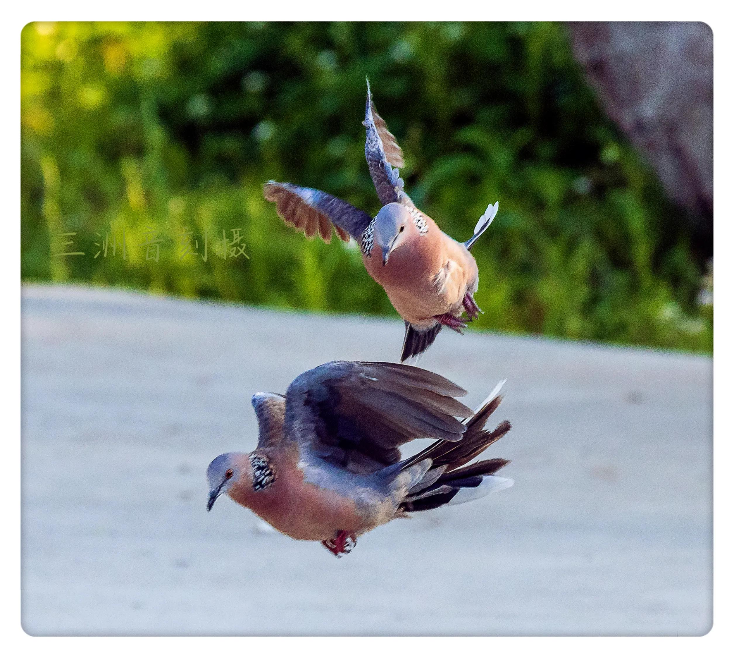 上海国际汽车城安亭,上海安亭国际汽车城