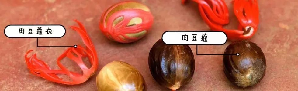 今年的世界杯，让这味香料万众瞩目