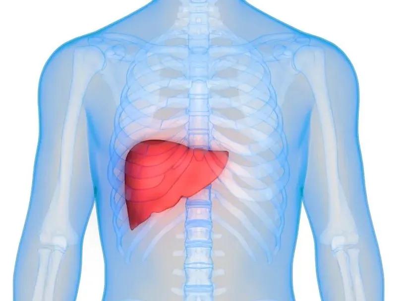 护肝最好的中成药治疗肝硬化,护肝促肝细胞再生