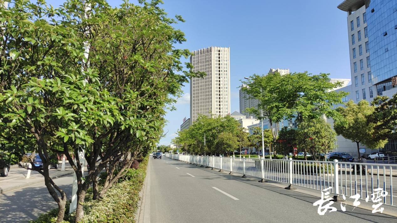 离谱的体育彩票,离谱的彩票