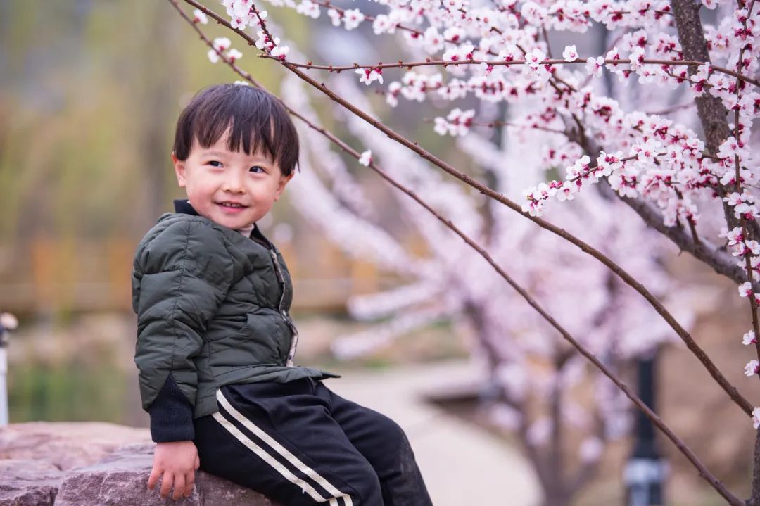 智力发展的关键期在几岁,儿童早期教育与智力促进邀请函