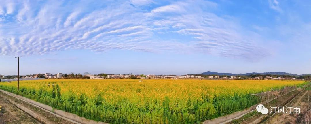 福建长汀戴氏,长汀戴氏族谱