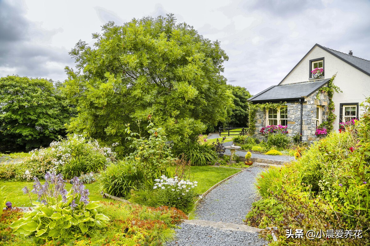 如何彻底清除花园里的杂草,怎样处理庭院里的土不再长杂草