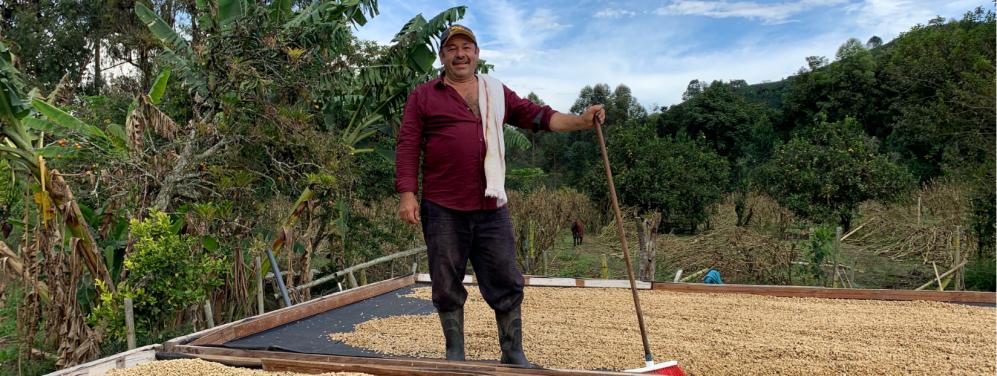 品种｜朝见波旁王朝