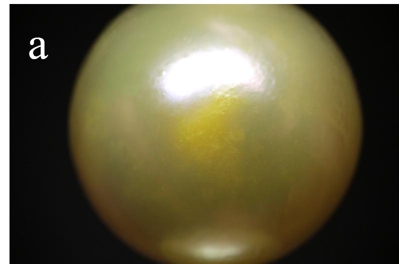 金色染色珍珠的鉴别方法,海水珍珠akoya鉴别方法