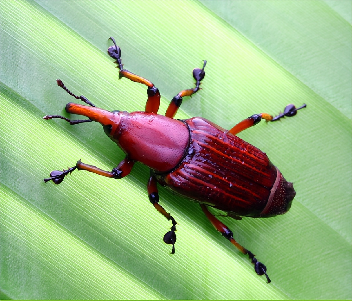 碳循万物•绿知未来|2023生物多样性创业夏令营，等你来探索！