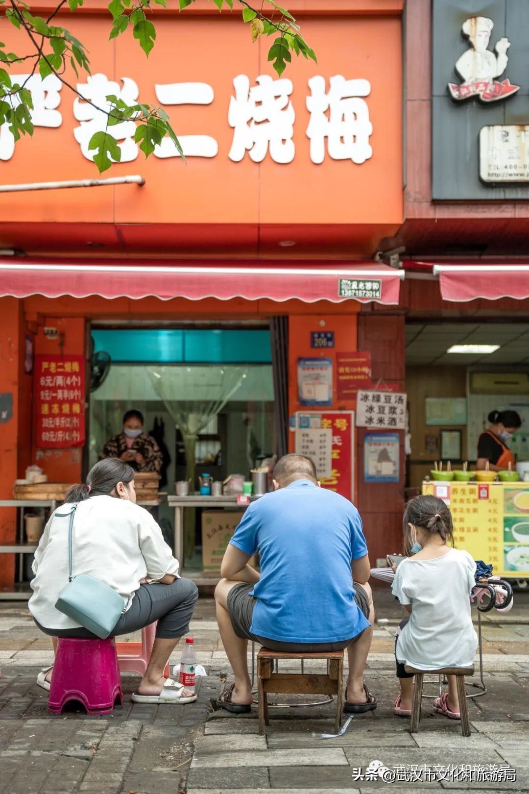 武汉不花钱看樱花地点,来武汉一定要看两坝一峡登黄鹤楼