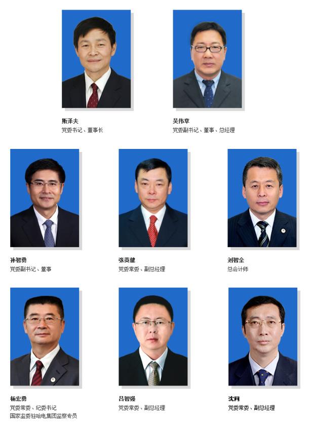 东电哈电,东电哈电重组