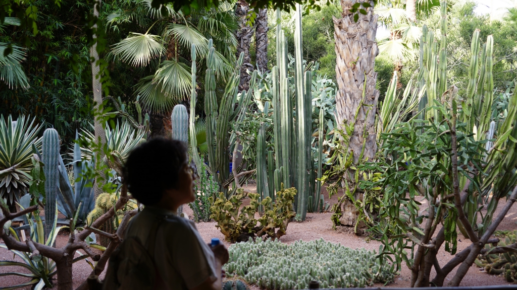 云中鹤空灵音乐,云中鹤钢琴曲