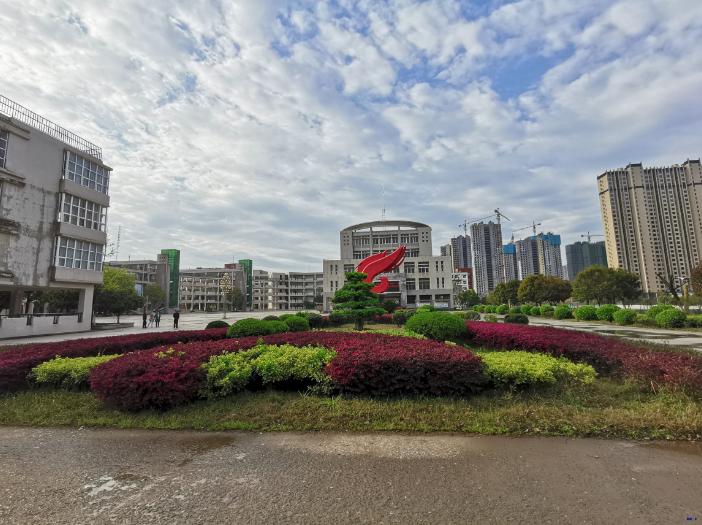 黄陂市新洲一中怎么样,武汉新洲一中与黄陂一中哪家强