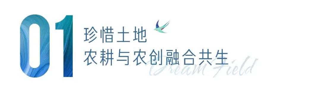 多利桃花源有机农庄,多利桃花源旅行