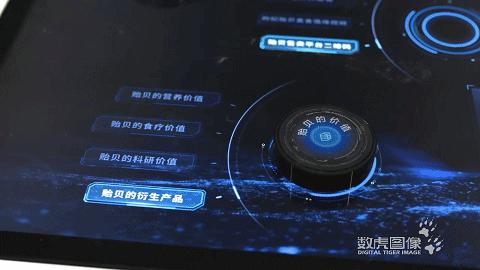 数虎又一数字化展厅舟山贻贝馆丨串联起贻贝传说