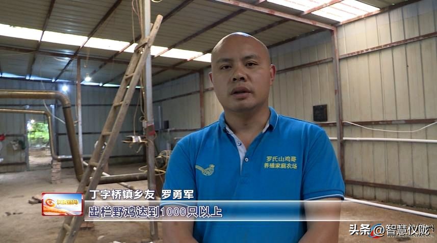 创业路上的奋斗者,返乡创业青年创业事迹