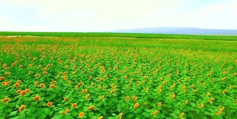 白银生态美景,白银大地山水