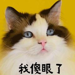 2024法考还会放水吗,2024年法考还会放水吗