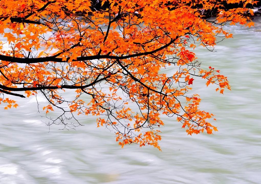 我们赞美四川70年发展变化,真正的四川现状