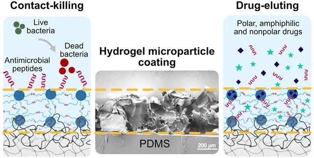 抗菌肽液体喷雾剂,抗菌肽喷雾剂