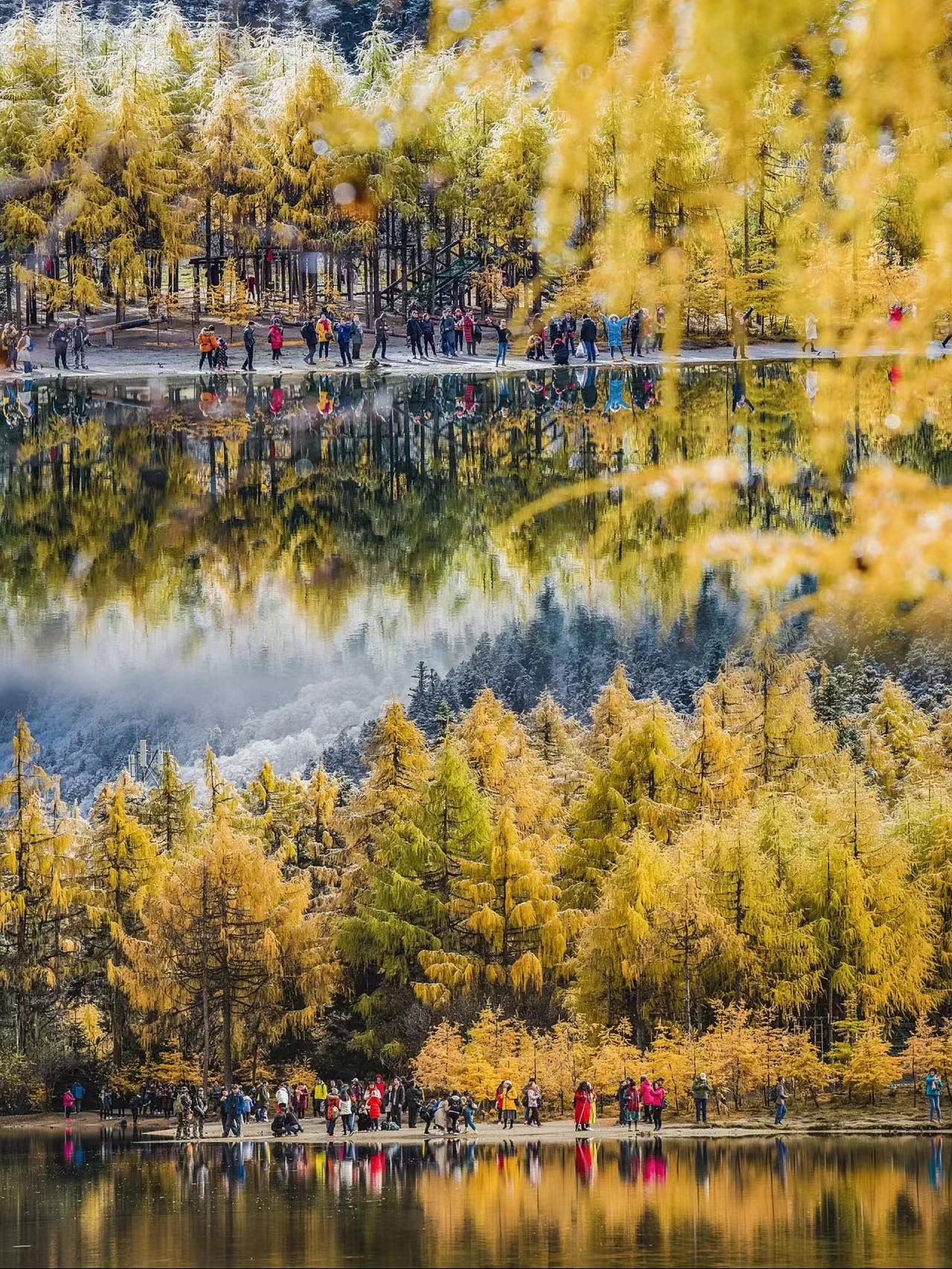 九寨沟童话仙境四日游,九寨沟童话路