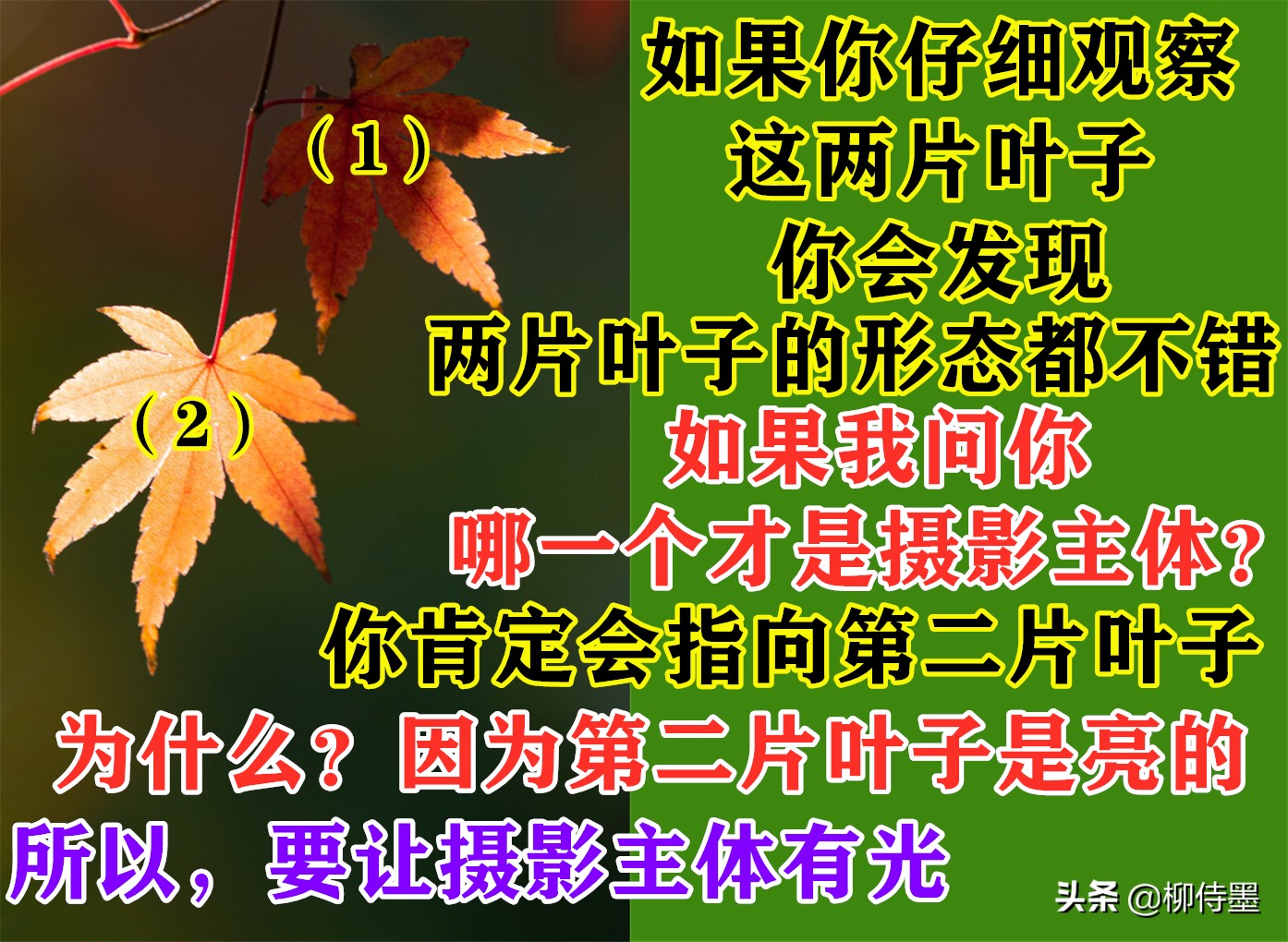 照片拍出来难看怎么修图,照片不能瞎拍