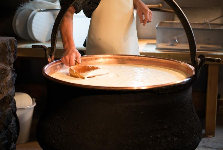 奶酪是如何制作的视频,瑞士奶酪制作过程