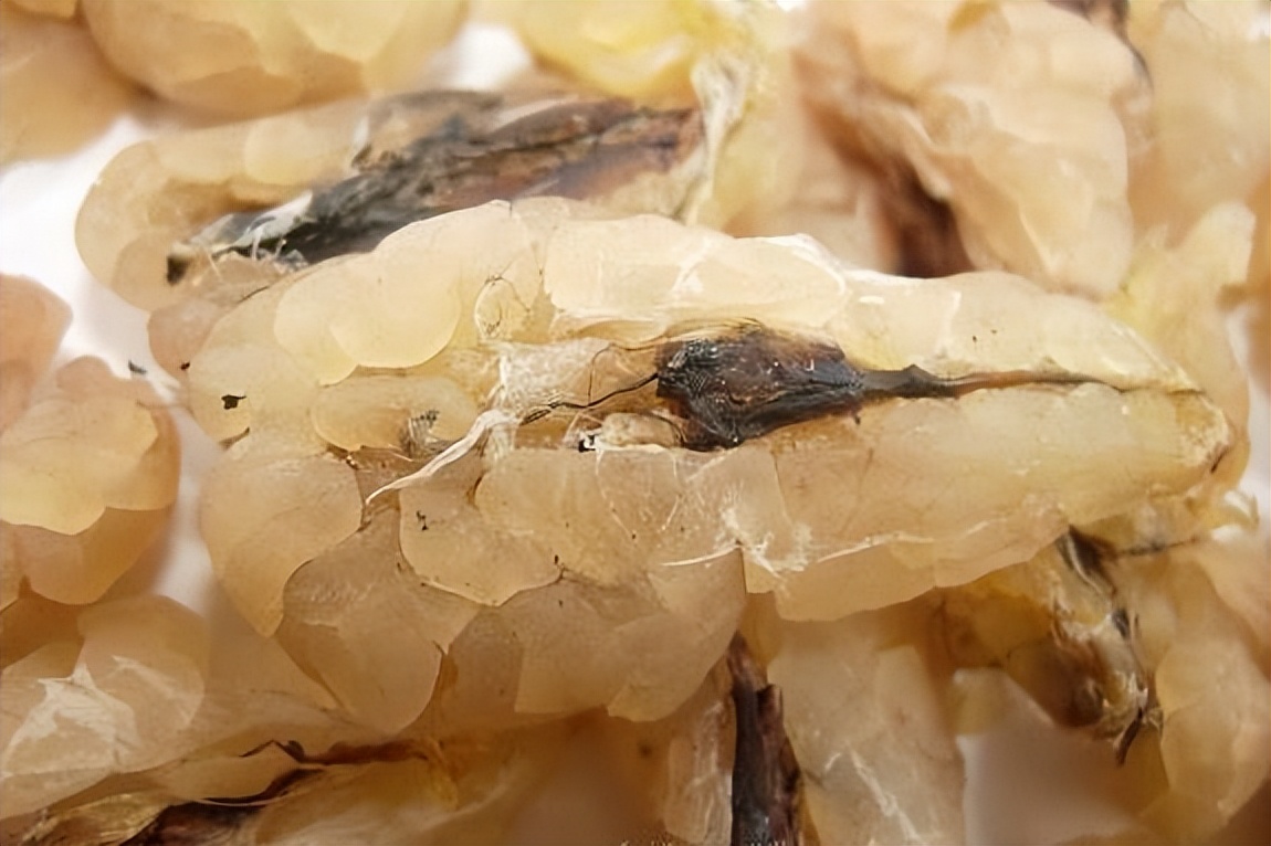 科普冷知识，知道多了，嘿！腰也不疼了，腿也不抽了整个人都爽了