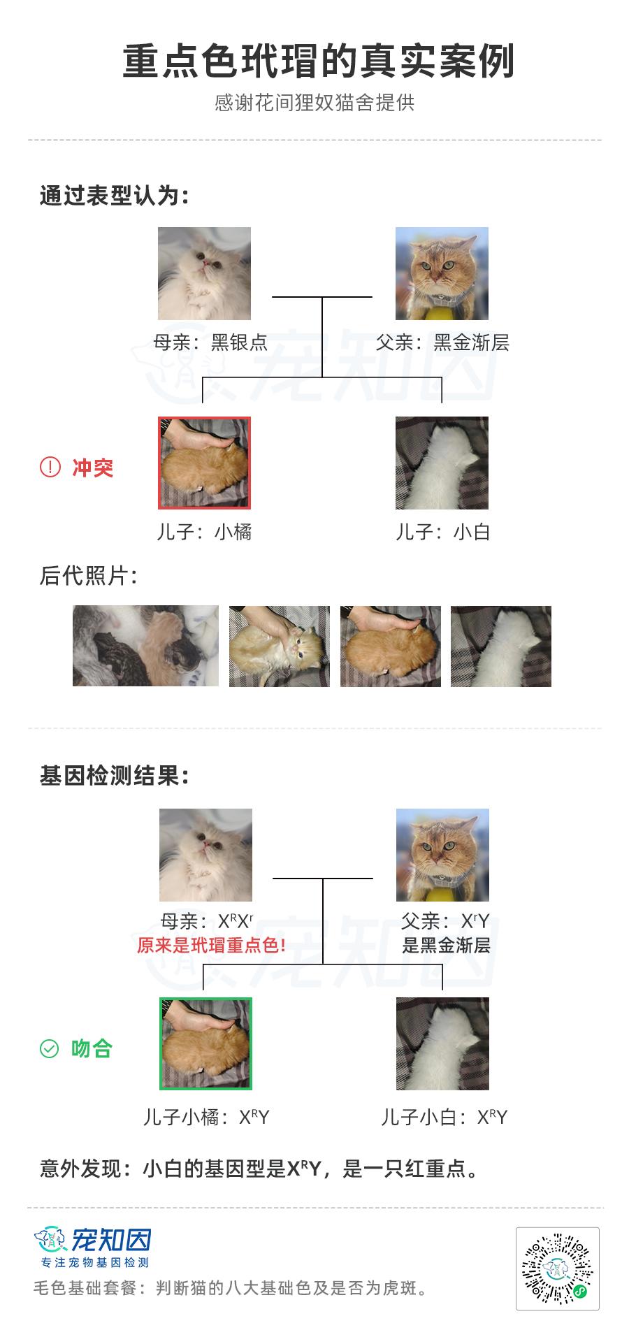 基因技术重大突破,基因科技的重大突破