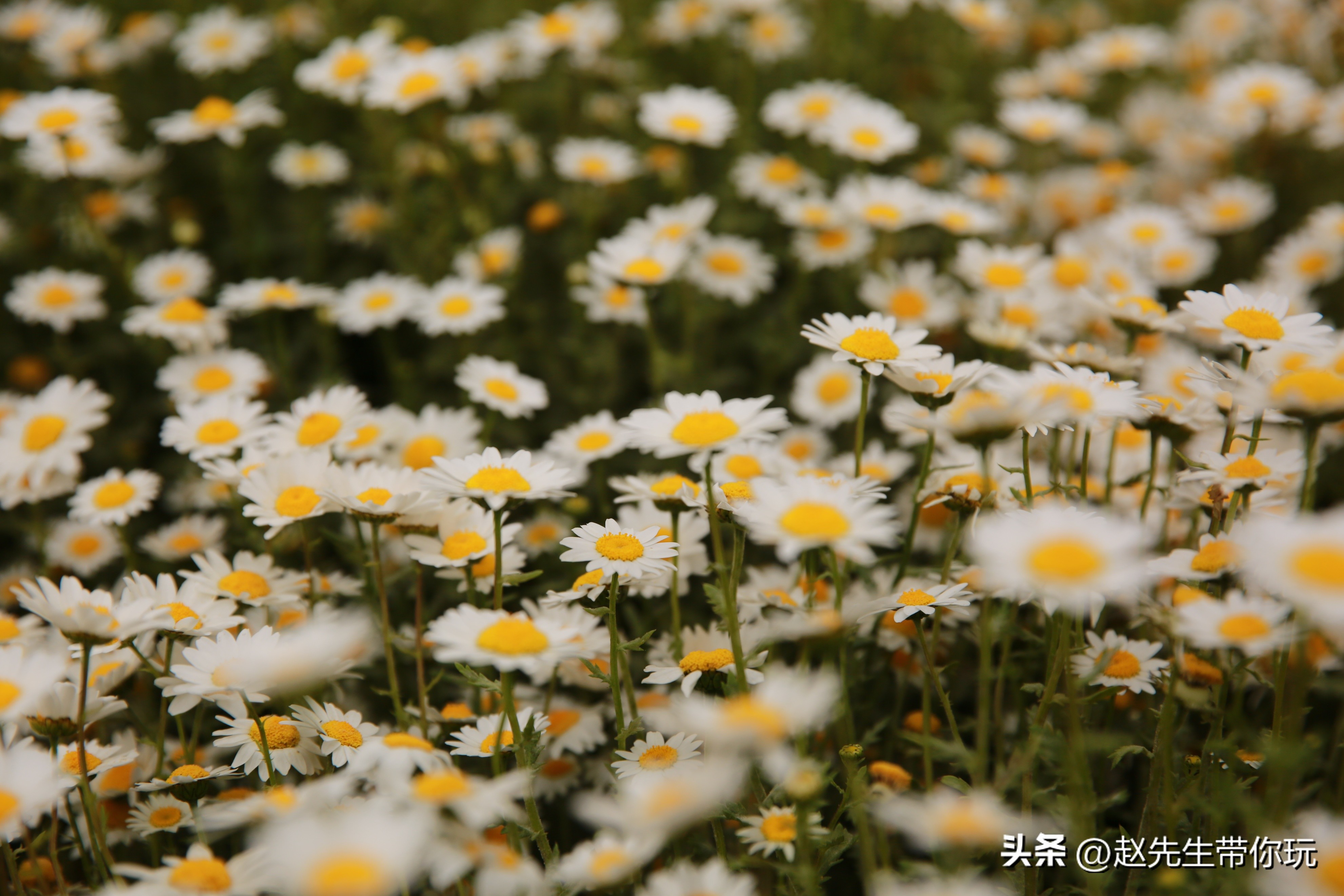 20年旅行总结,二十年游历分享