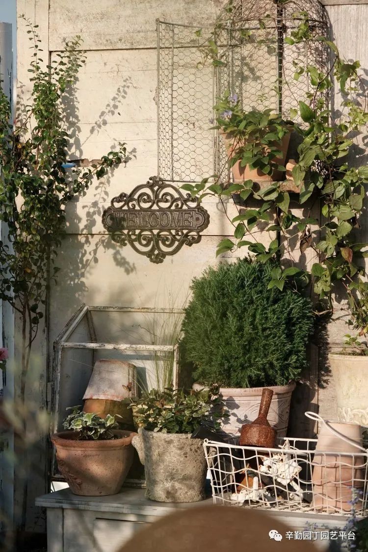 第八届园丁奖露台组《030号》洛基花园