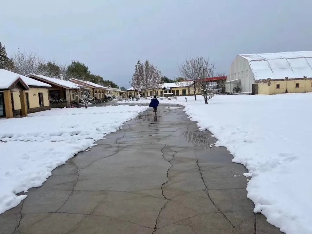 ckur马术俱乐部,ckur国际马术俱乐部18周年嘉年华