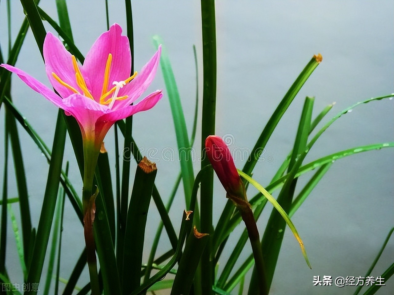 治疗过程中，医生和患者的配合