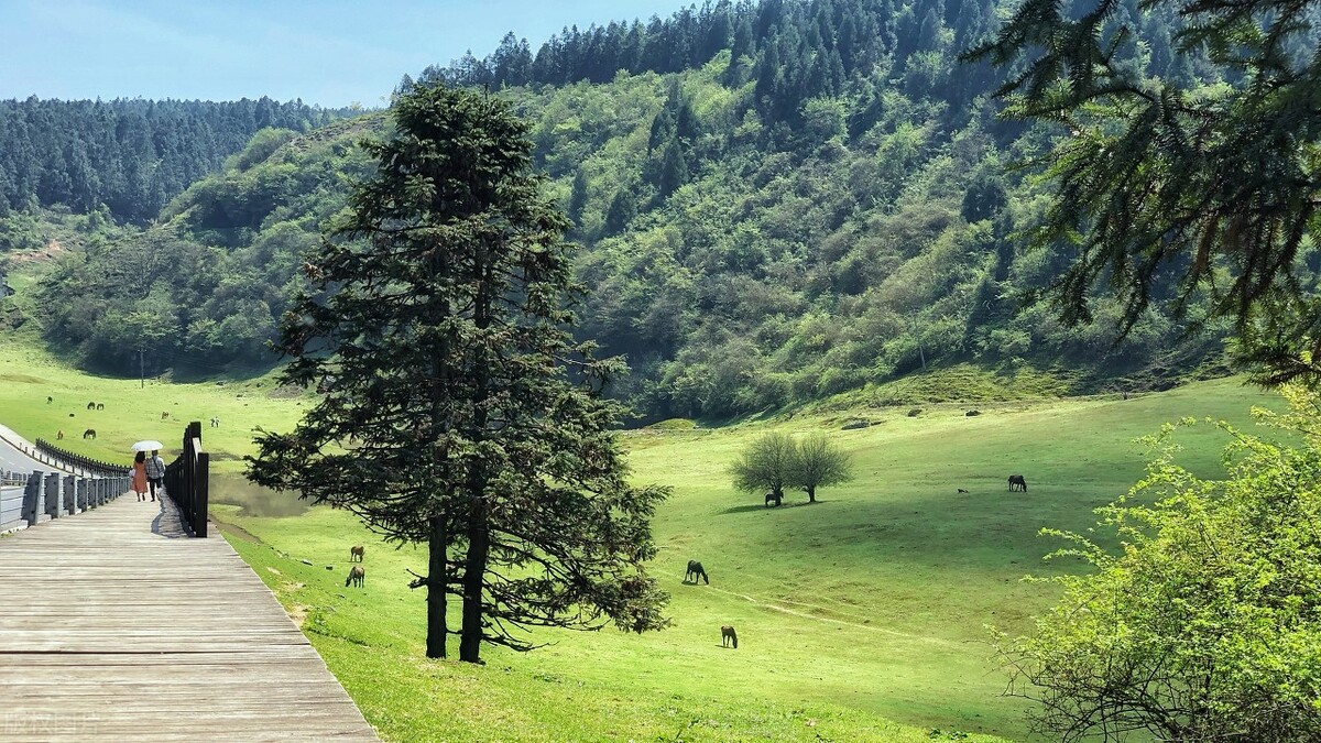 重庆武隆仙女山冬天自驾旅游攻略,仙女山游客中心到仙女山大草原